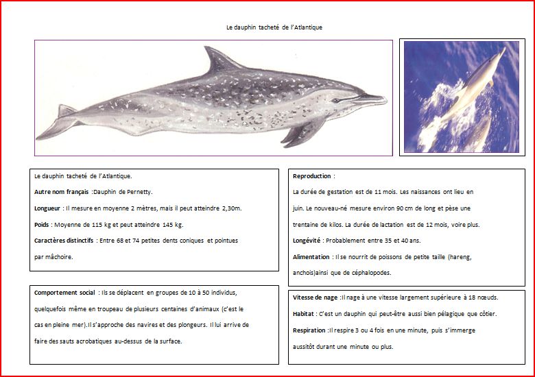 Lecture Au Cycle 2 Et 3,textes Documentaire,questionnaires